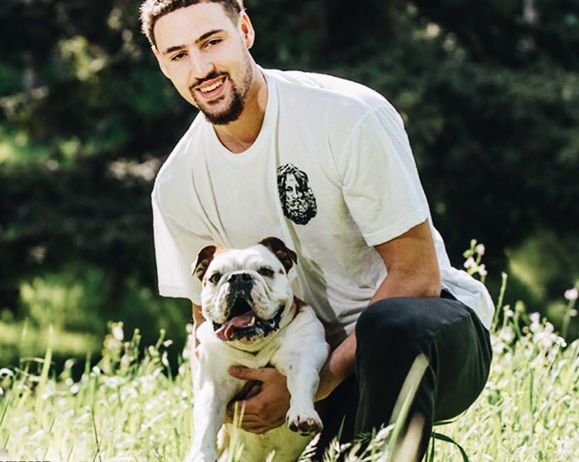 中超比赛焦点：山东泰山迎战上海申花,（中超焦点战：山东泰山对决上海申花）